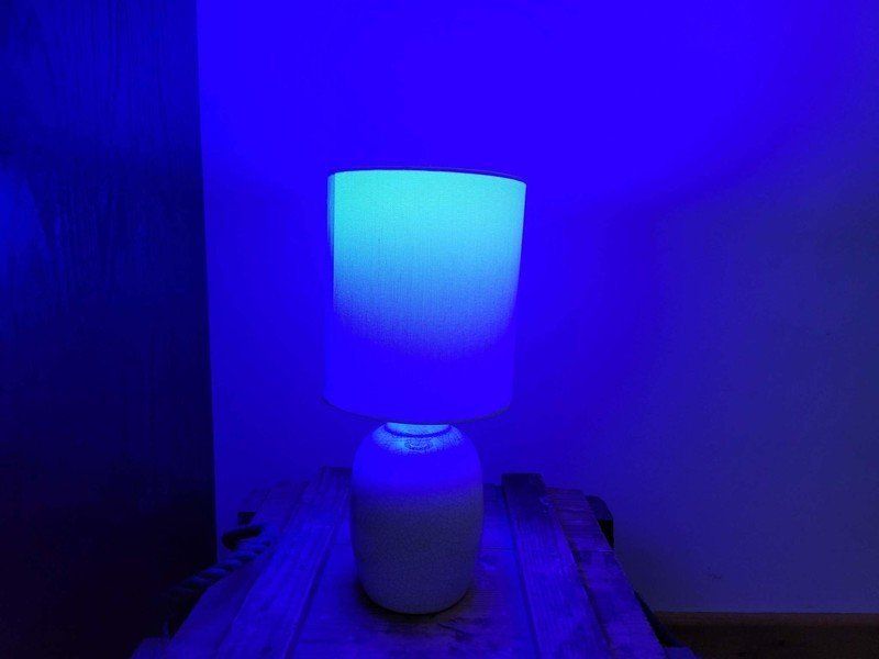 Wyze Bulb Color Lifestyle