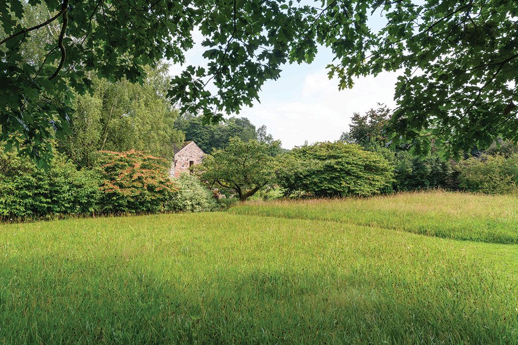 Property for sale with wildlife meadows: The Mill House, Sebergham, Carlisle, Cumbria.
