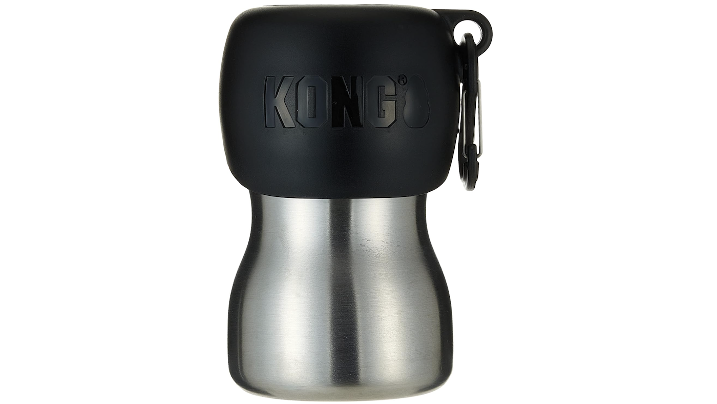 Kong H20 stainless steel bottle