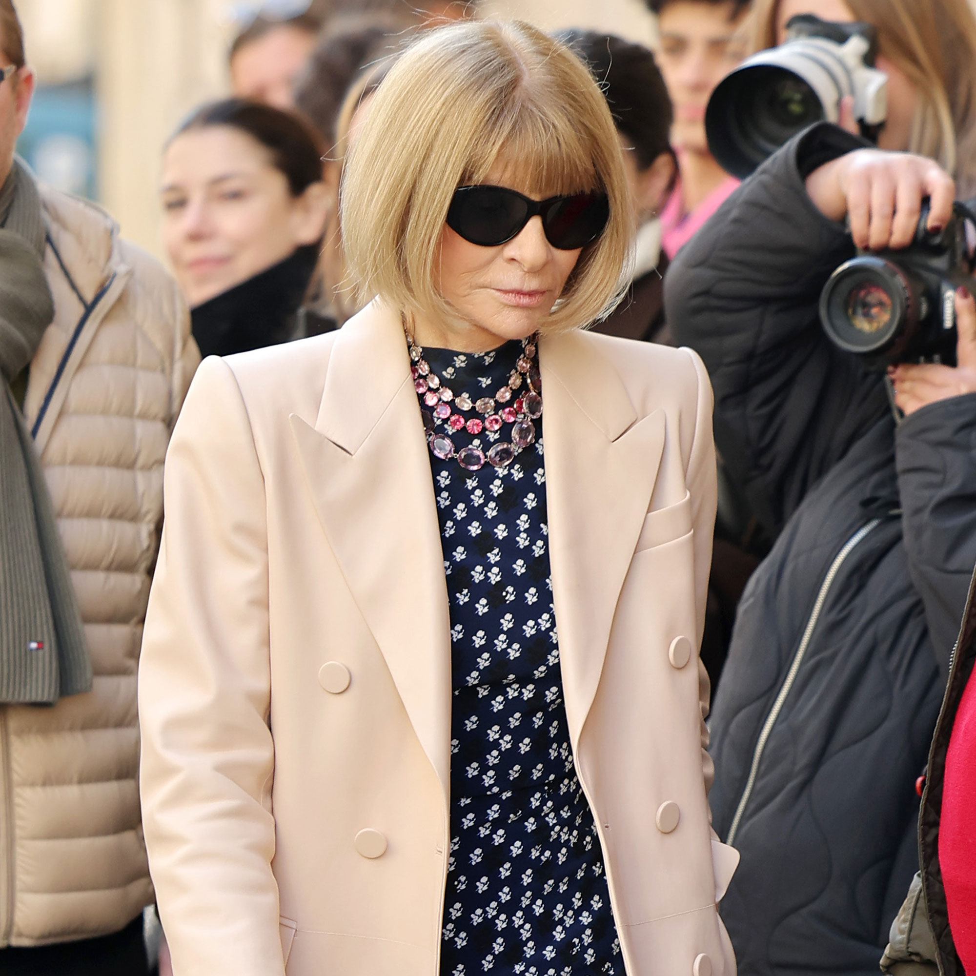 Yes, Anna Wintour Packed Exactly One Pair of Shoes for Paris Fashion Week