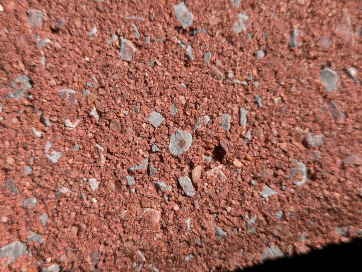 Google Pixel 8a macro sample.
