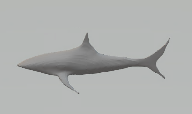 Shark