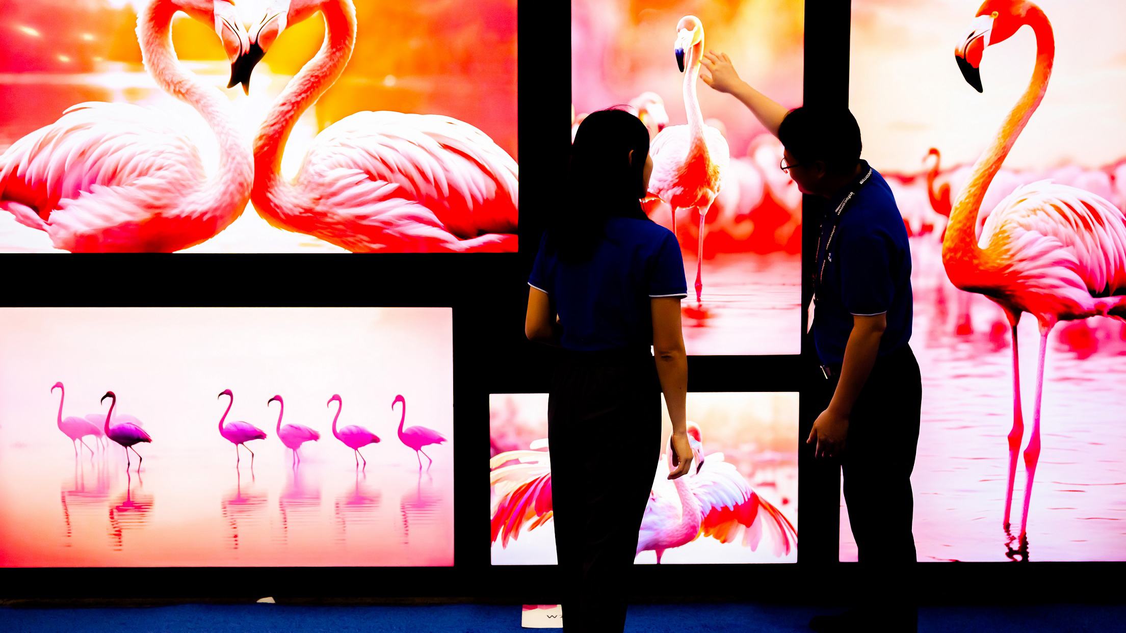 A man and a woman look at bright digital signage of pink flamingos on multiple displays. 