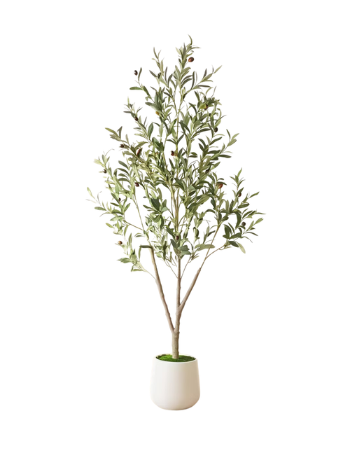 Faux Olive Tree With Oval White Planter