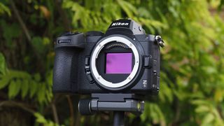 Best full frame cameras: Nikon Z5