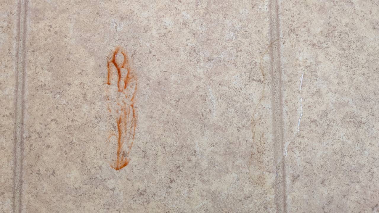 Ecovacs Deebot X11 Omnicyclone