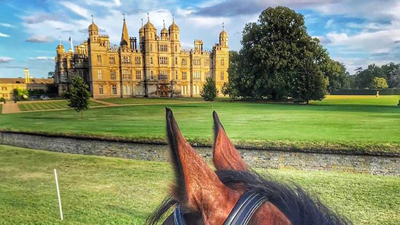 Burghley-ears.jpeg