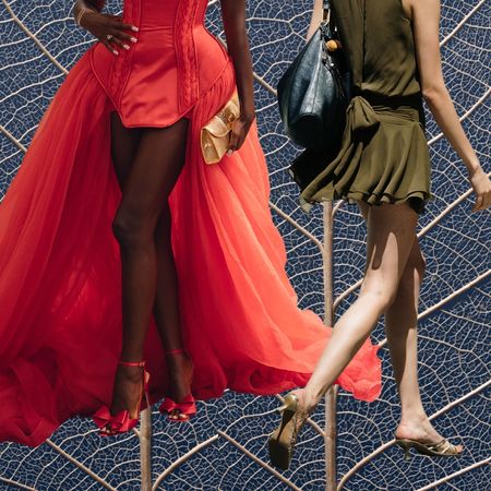 a blue leaf background with visible veins with a black woman's legs in red shoes wearing a red dress and a white woman's legs wearing olive green heels and matching dress