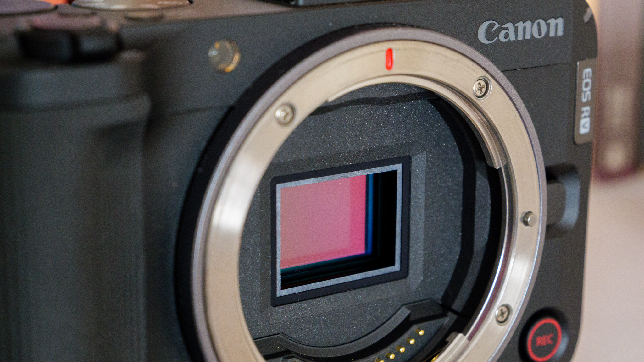 Canon EOS R50 V camera