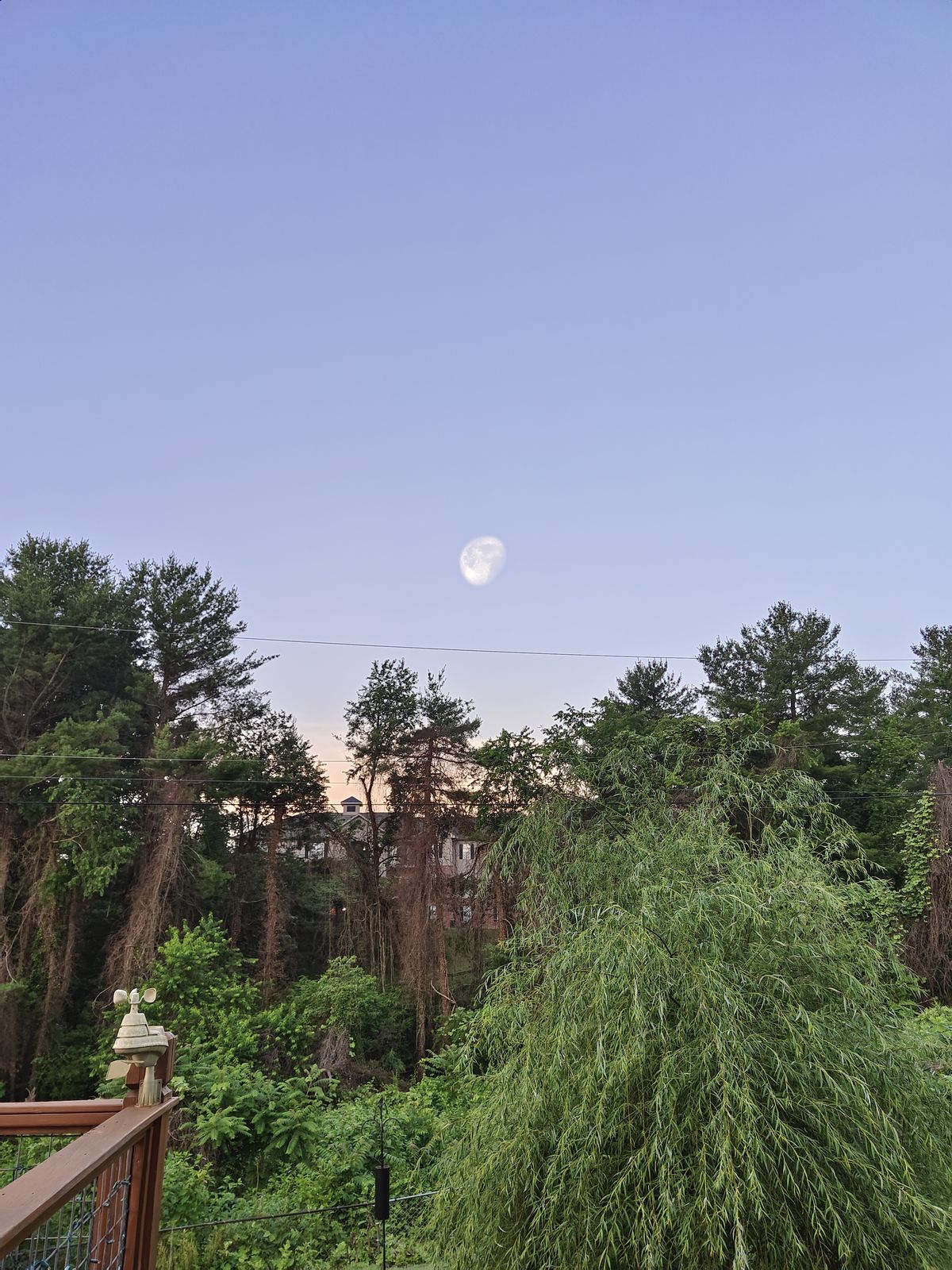 Camera samples from the Vivo X Fold
