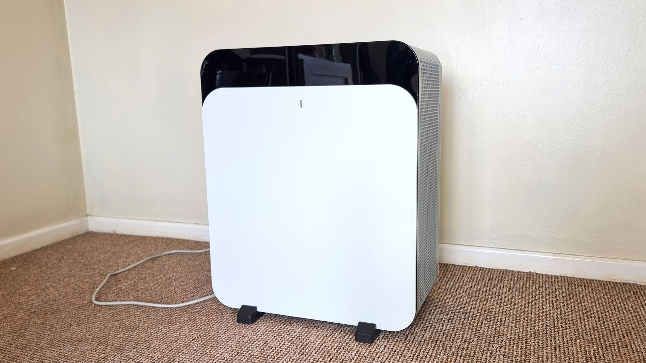 BlueAir Classic Pro CP7i being tested by our reviewer
