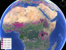 Global cropland map