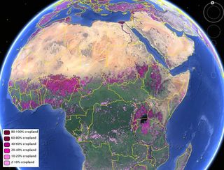 Global cropland map