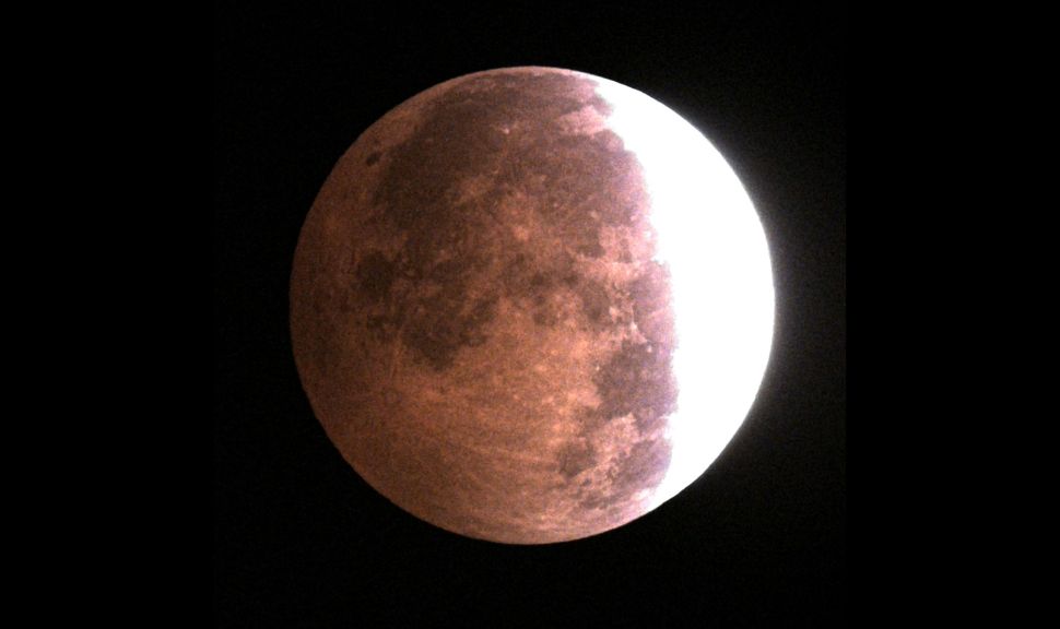 A red and white lunar disk during the partial lunar eclipse on Aug. 28, as imaged by the ZWO Seestar S50 Pro.