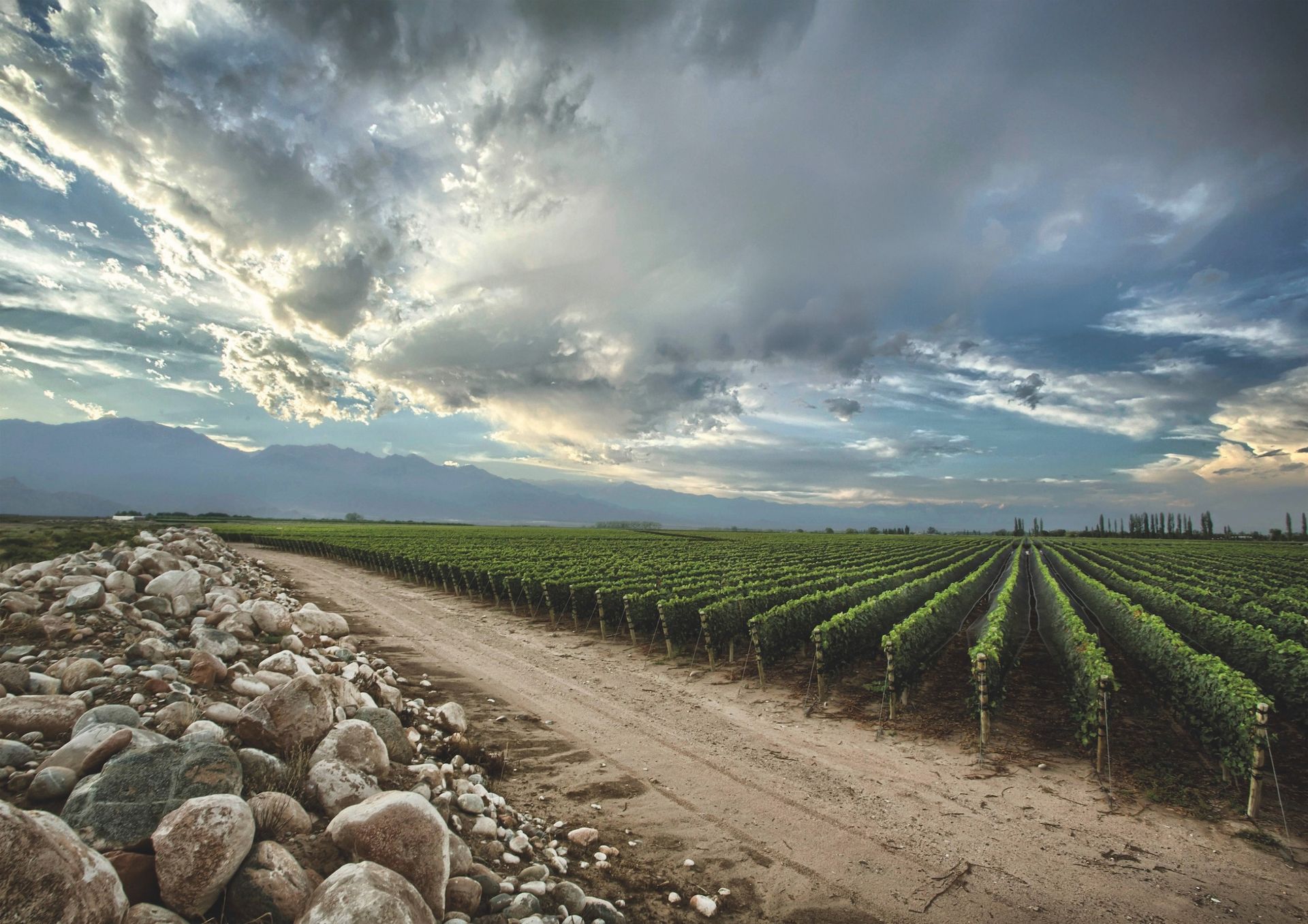 Cru Mendoza: Three terroirs where Argentine wine is being taken to new heights