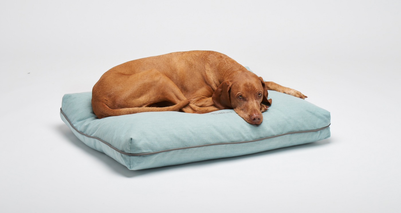 Snuggle-Dreamer-LIght-blue