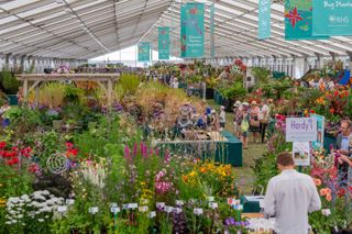 floral marquee at Hampton Court Flower Show 2018