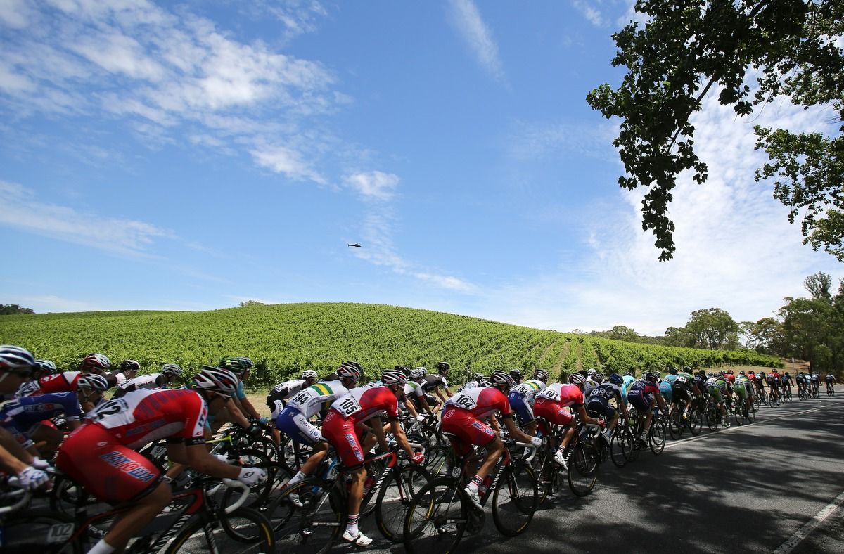 Vineyards are a common vista at the TDU