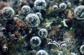 Underwater bubbles