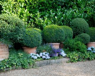 evergreen container planting in garden of paolo moschino and philip Vergeylen