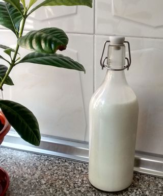 milk bottle and plant