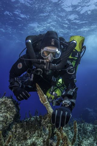 Diver with spear