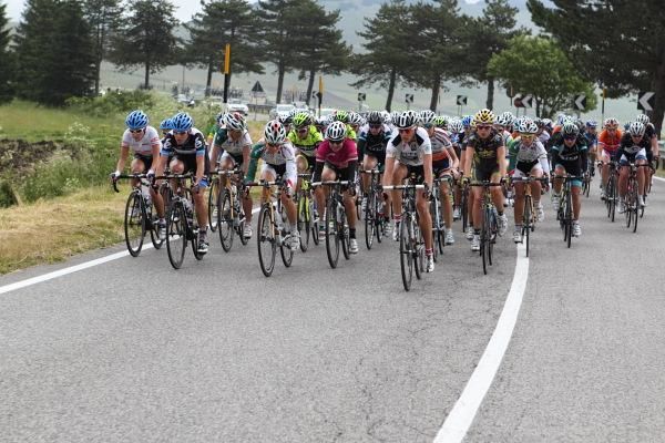 The bunch on the first climb