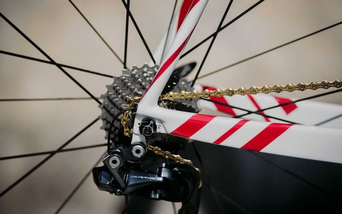 A close look at the rear dropouts detail on Neilands' bike