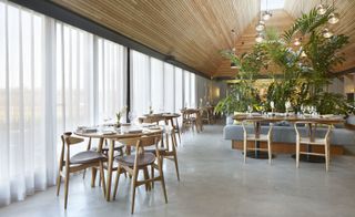 Wooden tables and chairs in Dining area.