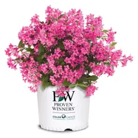 Home Depot Father's Day sale: lawn and garden deals starting at $1.99