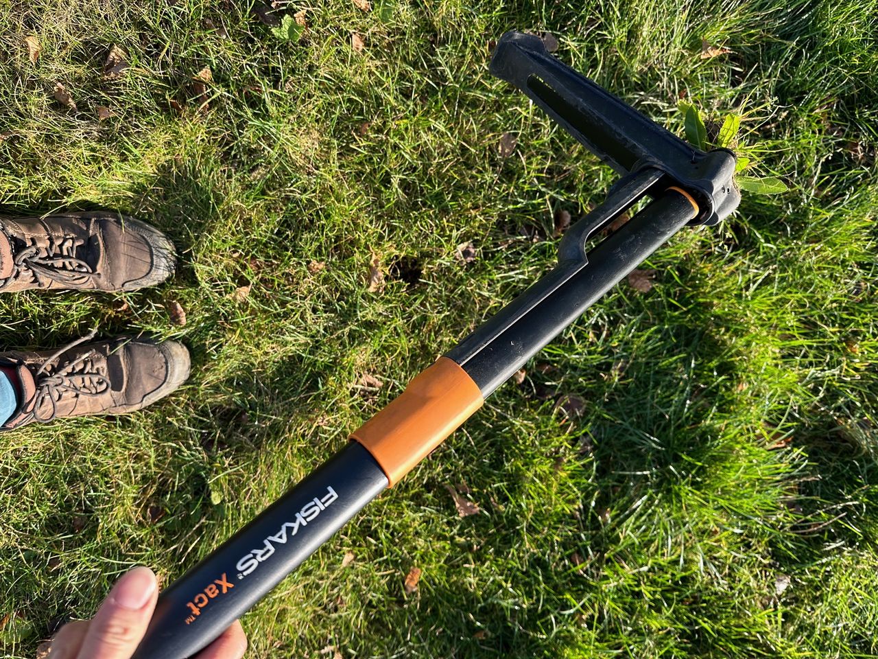 The Fiskars weed puller with a weed in its claws