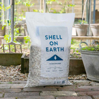 Shell on Earth Crushed Whelk Shells, £11.99, Marshalls Garden