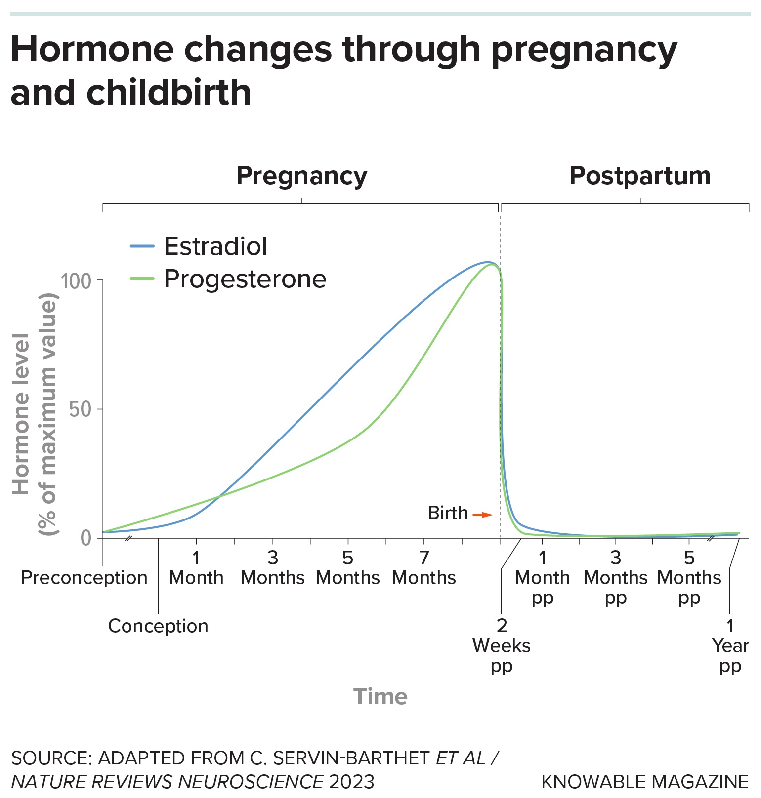 A graph showing how hormones change during and after pregnancy