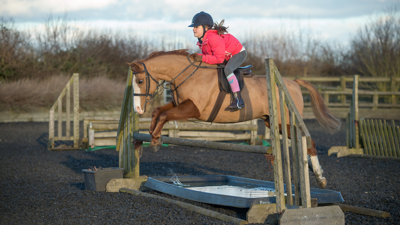 chestnut pony jumping water tray