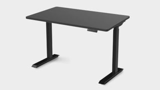 The Flexispot sanodesk electric height adjustable gaming desk in black on a gray background.