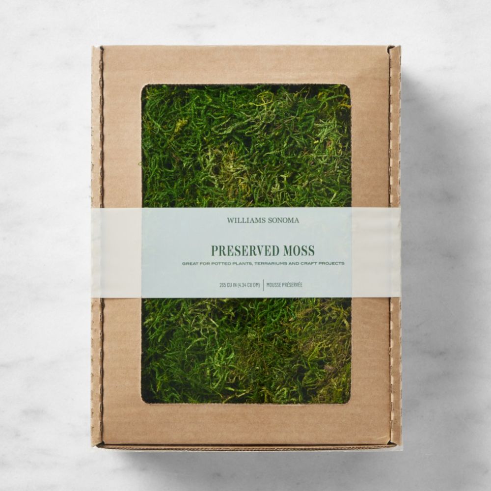 Preserved moss for decorating in a box