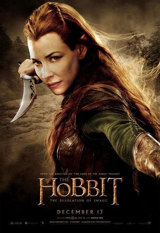 The Hobbit 2 Poster