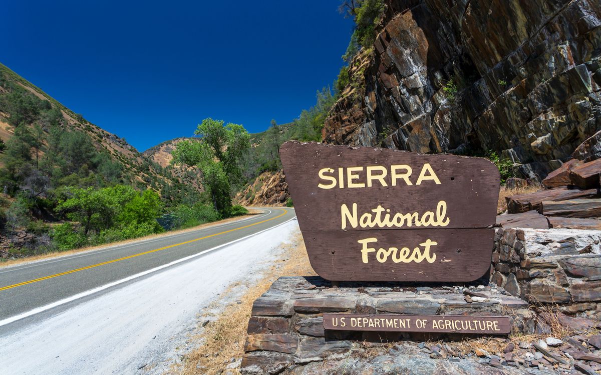 A family died in the Sierra National Forest while hiking in August. Authorities announced on Thursday (Oct. 21) that they died from hyperthermia and possible dehyrdation.