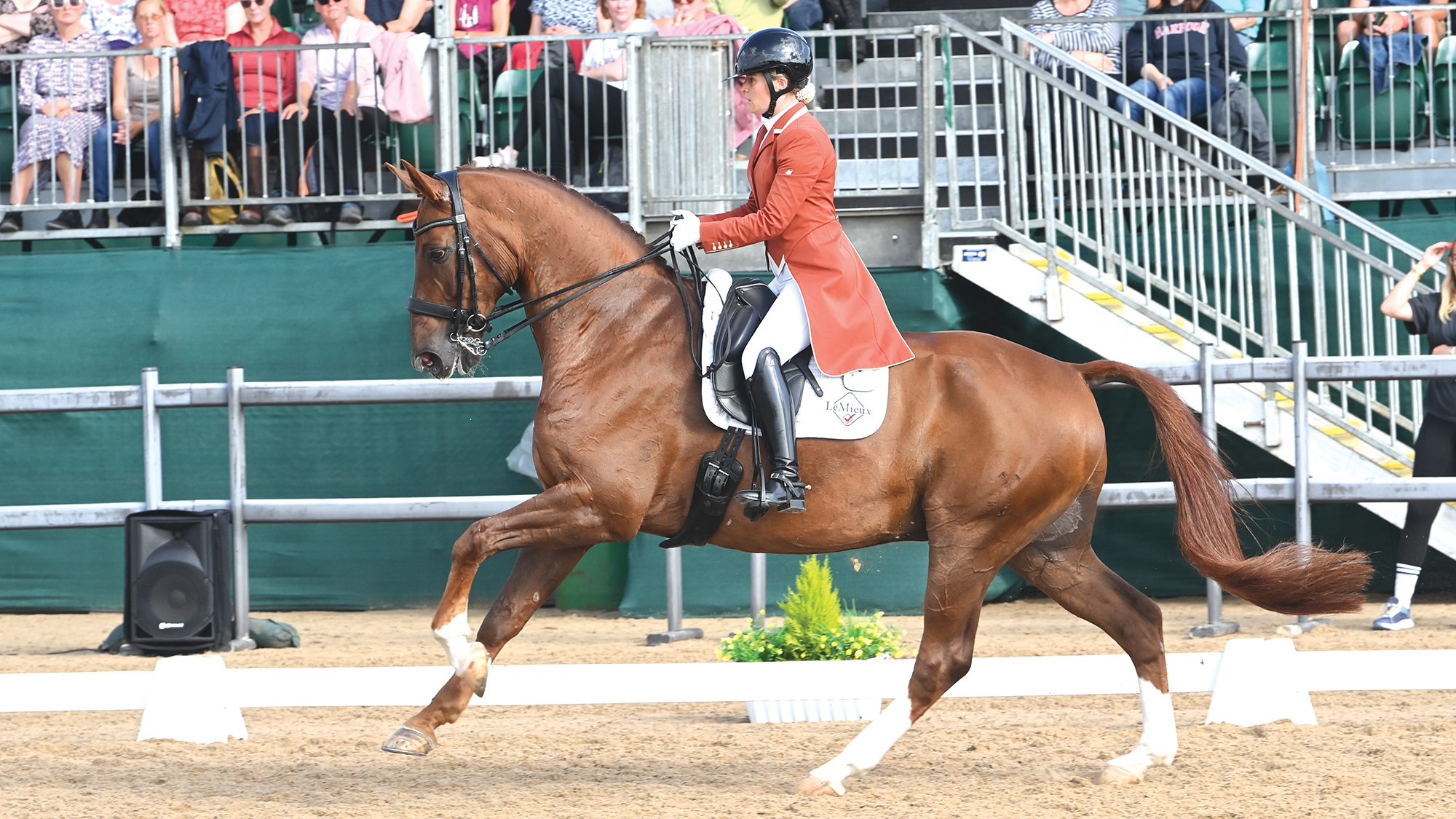 British dressage rider Olivia Oakeley wears a red tailcoat with black helmet and boots as she rides chestnut Full House in extended canter at the 2026 National Dressage Champions at Somerford Park.