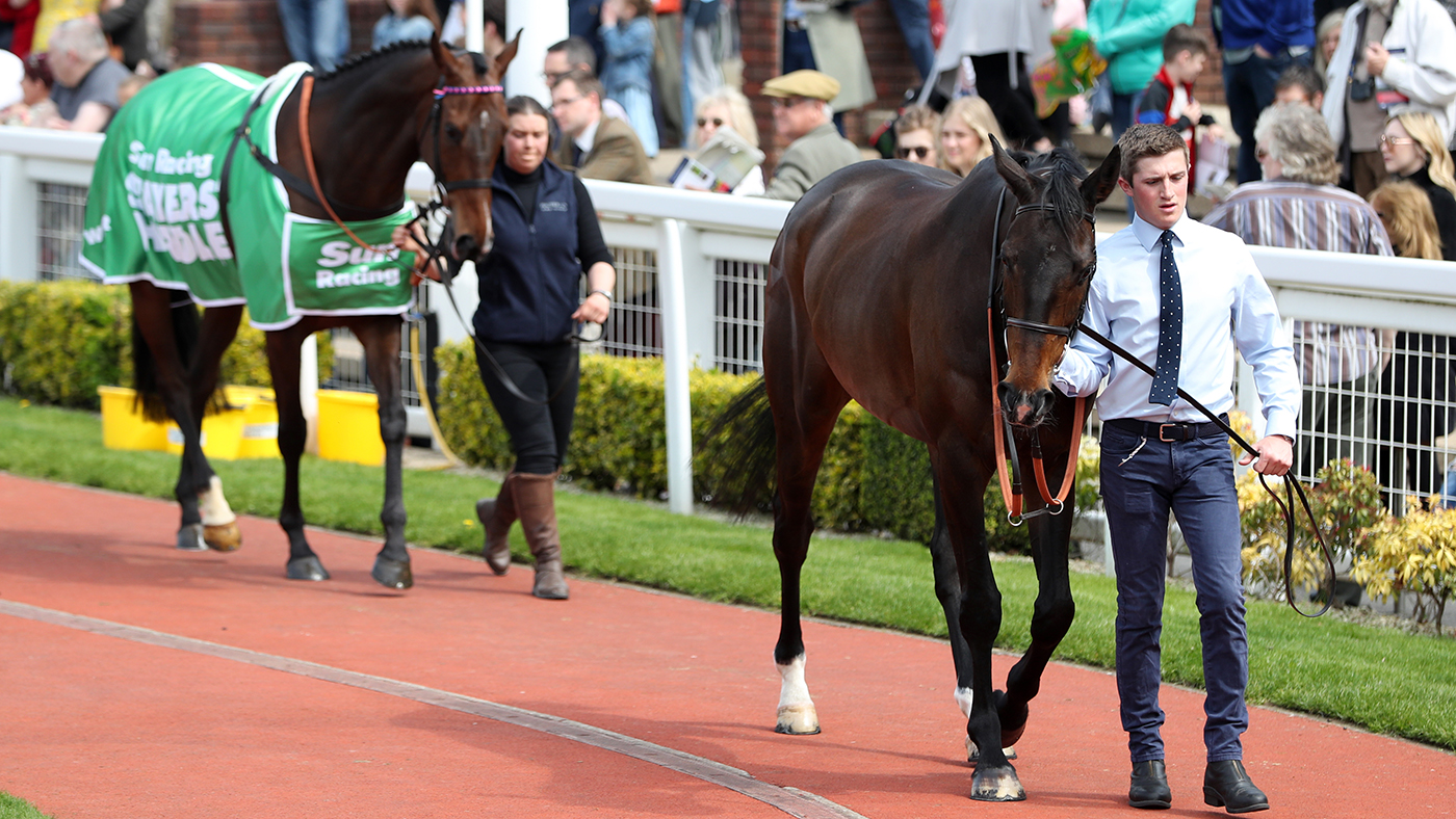 Cheltenham Festival winners Frodon (right) and Paisley Park are walked around the parade ring prior to day two of the April Meeting at Cheltenham Racecourse.