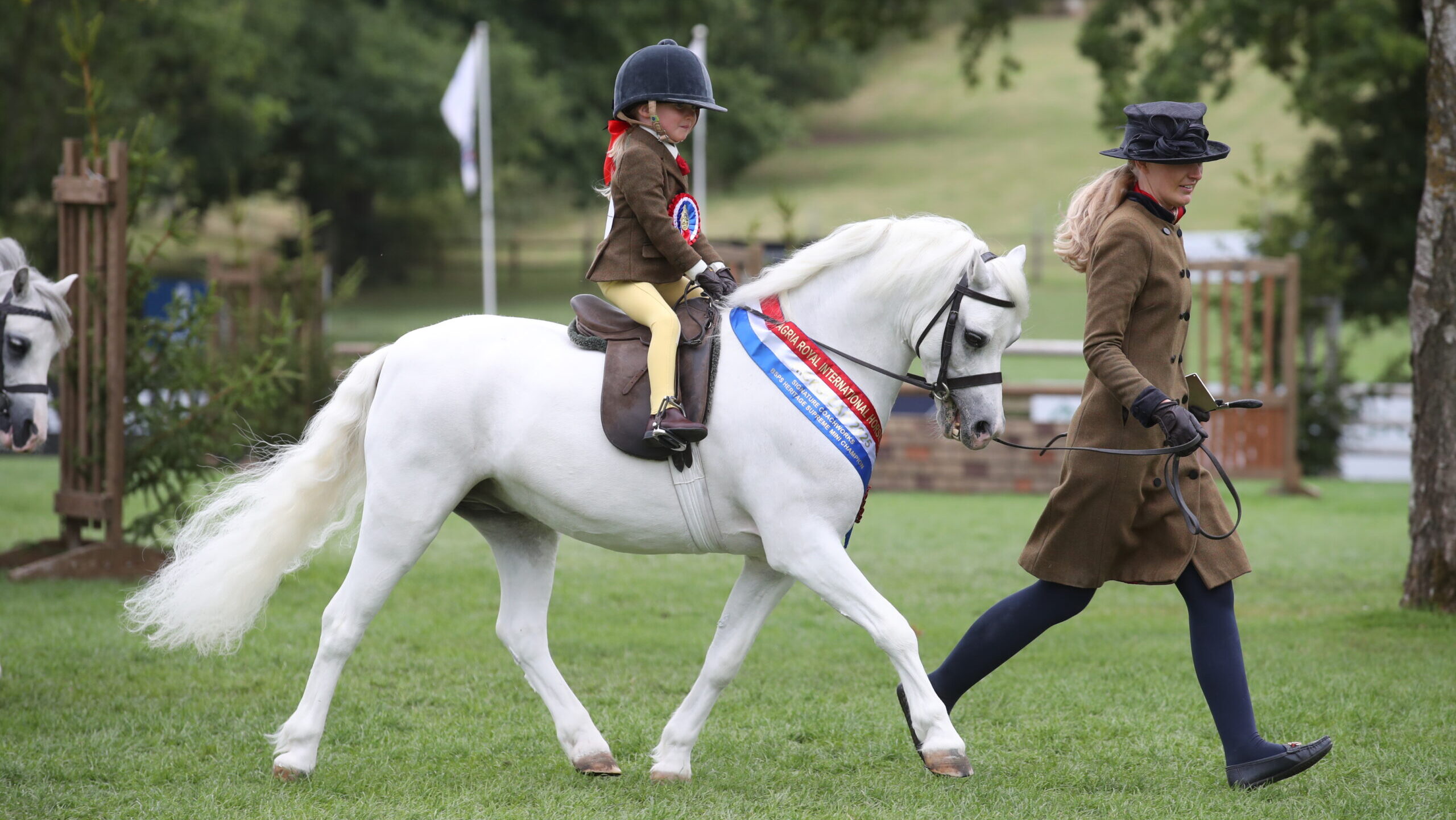 Grey Welsh section A Rowfantina Hideaway Harry is led by Katie White to vitory in the supreme M&amp;M mini championship at the Royal International Horse Show