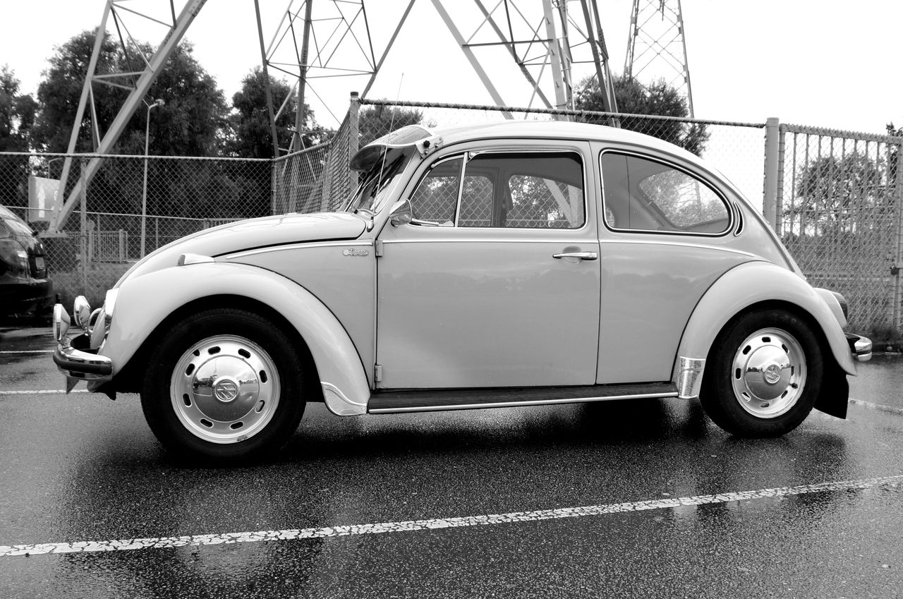 A Volkswagen Bug.