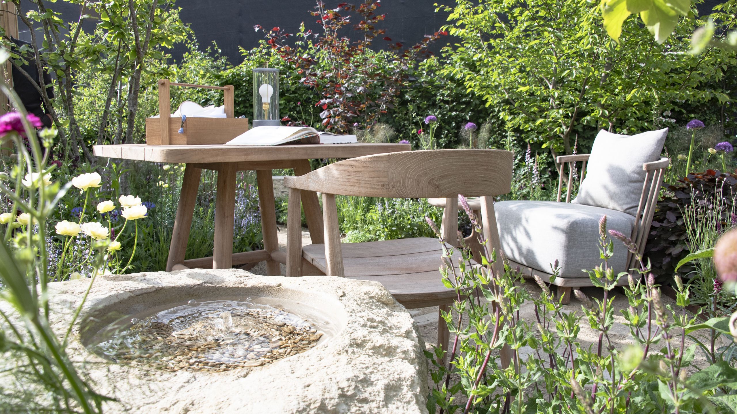 August Is the Perfect Time to Take Shrub Cuttings – How to Get New Plants for Free in Late Summer