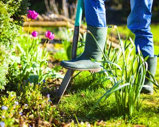 Gardener digging in spring