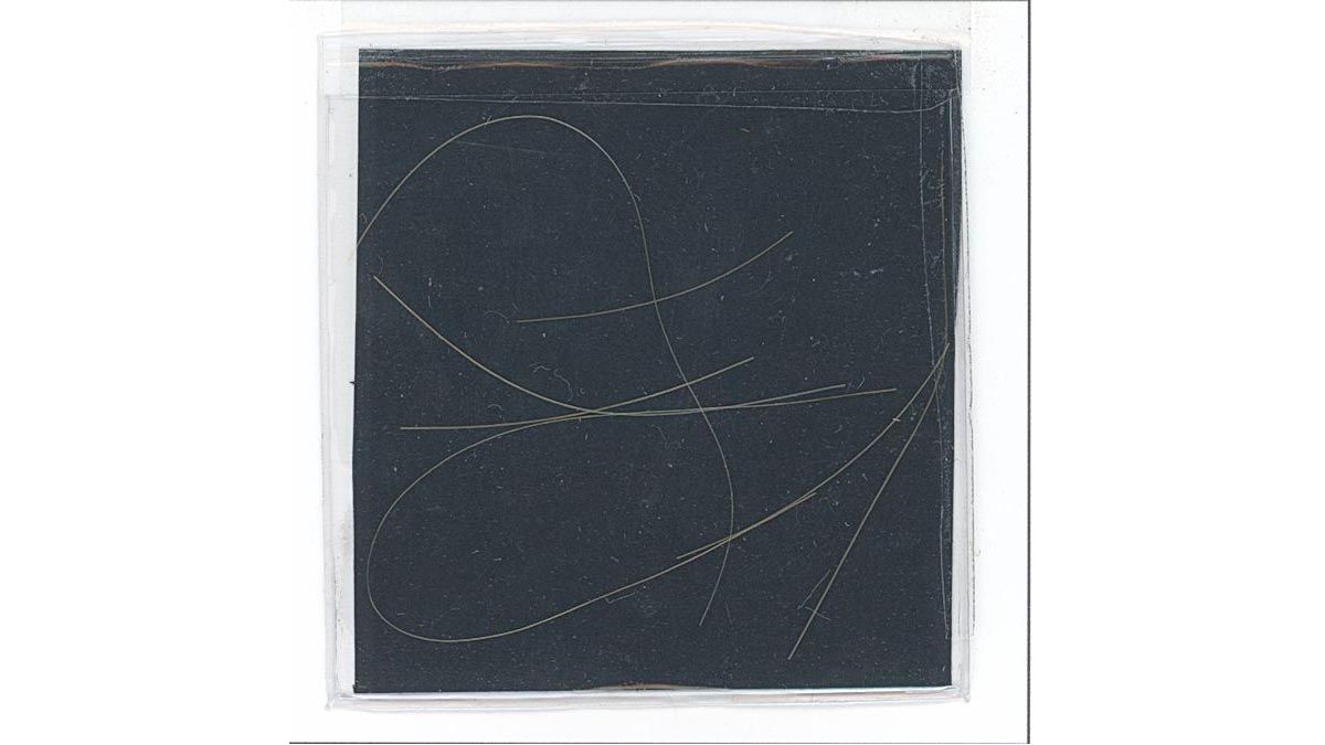 Nirvana Auction