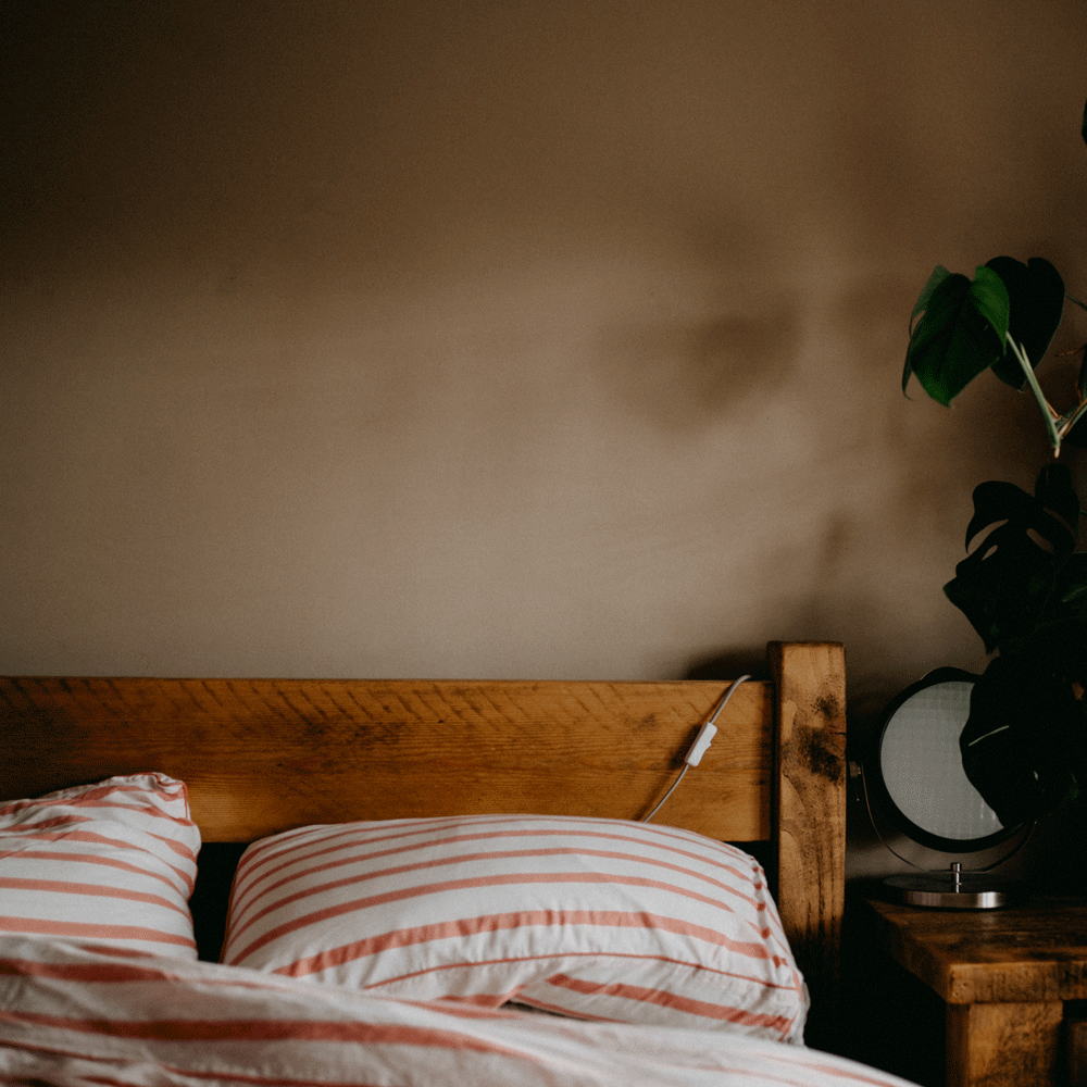 bedroom with lining pillow