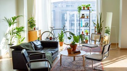 apartment living room with indoor plants