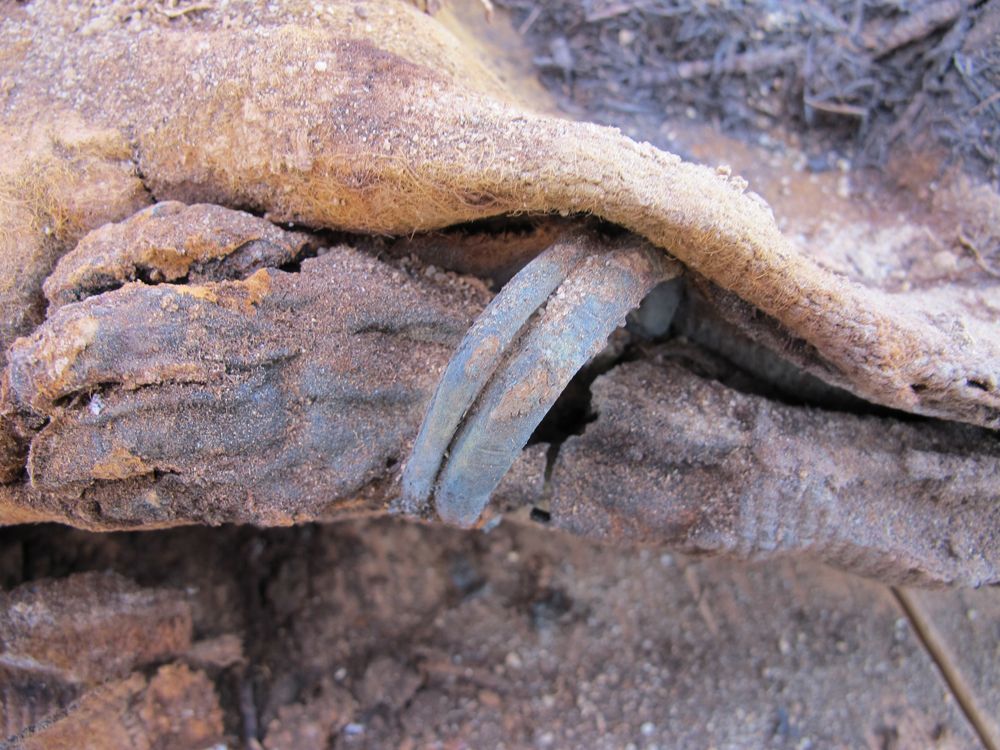 Mummified baby, million mummy cemetery