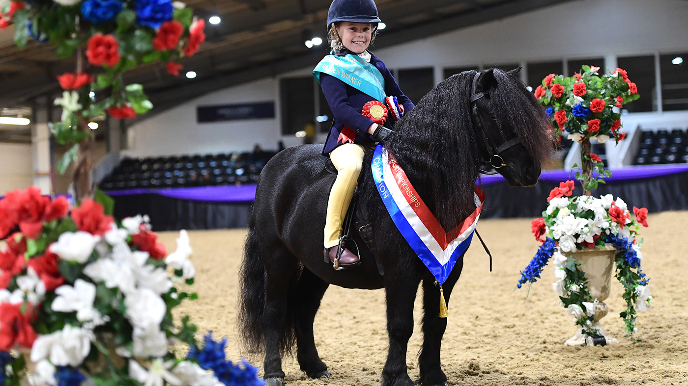 Heritage Show 15.10.2266367
