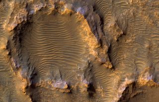 Bedrock in a Martian Crater